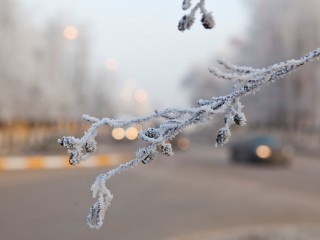 Снег и минус 15: Солнечногорск ждет серьезное похолодание