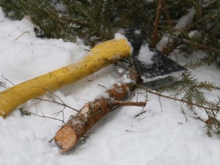 Двоих коломенцев задержали в лесу за вырубку хвойных деревьев к празднику