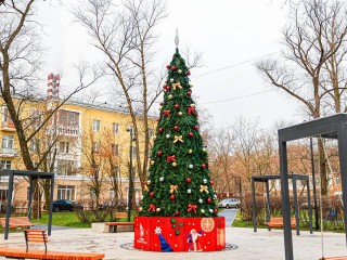 Новогоднюю ель украсили желтыми и красными бантами на городской аллее Ветеранов