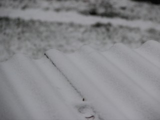 «Наконец-то»: жители Подмосковья обрадовались началу снежной зимы