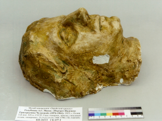 В коллекцию зарайского музея после реставрации вернулись работы Домогацкого и Голубкиной