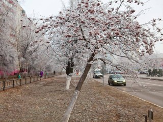 Конец плюсам: Москву и Подмосковье в эти дни накроет по-настоящему зимняя погода