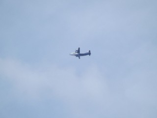 Аэропорт «Внуково» обеспечил всем необходимым группу детей, задержанных из-за ограничений