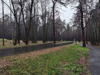 Без снега и дождя: что произойдет с погодой в Московском регионе