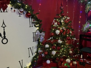 Загадать желание и написать письмо: в Ленинском округе открылась резиденция Деда Мороза