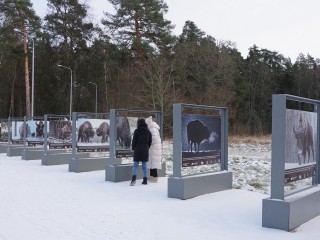 «Дневник зубра» полистают жители и гости Серпухова в наступающие каникулы