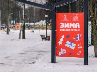 Зимнее развлечение: аренду электроснегокатов запустят в Подмосковье