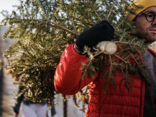 Жители Павловского Посада могут бесплатно провезти елку в электричке