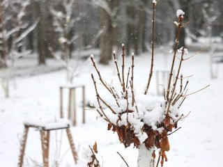 Подмосковью грозит барическая яма! Что почувствуют метеозависимые от скачков атмосферного давления