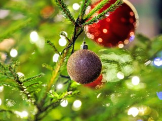 Можайцам предложили установить «Елку России»: объявлен всероссийский конкурс