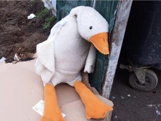 В мусорный бак — жалко: как правильно избавиться от ненужных игрушек