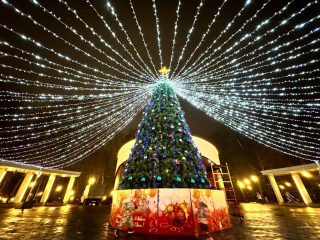 Какая новогодняя красавица Подольска может претендовать на статус «Елки России»