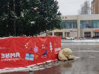 Уставшего медведя под центральной городской елкой обнаружили жители Красноармейска