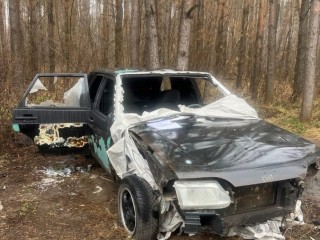 Владельца «Лады», заросшей грибами, разыскивают в Воскресенске