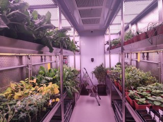 Новый уровень науки: чем особенный научный центр в Черноголовке