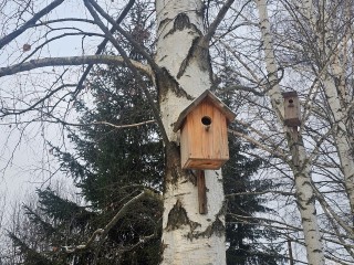 В Подмосковье вернется теплая погода, но только на один день. Когда это случится?