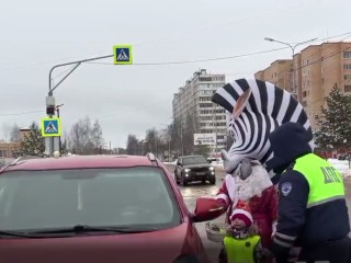 На улицах Шатуры дежурил новогодний патруль: ГИБДД, Дед Мороз и Зебра поздравляли водителей