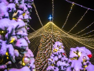 Где в Талдомском округе отметить Новый год в дружной и веселой компании?