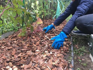 Не стоит паниковать из-за теплой зимы: почему аномальная температура декабря не погубят ваш урожай