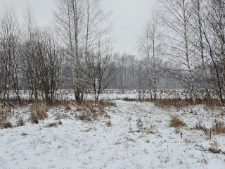 В Луховицах готовят участок под строительство спортивного комплекса