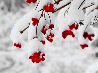Зима взяла власть: в Подмосковье грядут морозы и снежные завалы