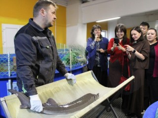 Эмбрионы овцы и ДНК осетров: как Подмосковье: что еще удивило китайцев в Подмосковье и как стороны намерены улучшать породы животных