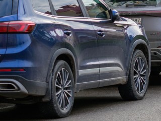 Водитель в Истре дважды переехал домашнюю кошку и уехал