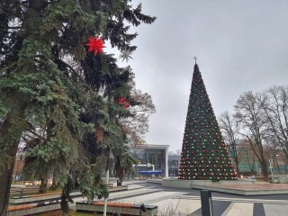 На украшение самой высокой елки в Мытищах ушло более тысячи игрушек