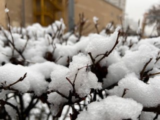 Москву ждет долгожданный мороз: в этот день наступит метеорологическая зима