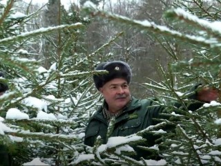 Семейная традиция с топором: в каких хозяйствах Подмосковья разрешили самим рубить елку и кто осуществляет надзор