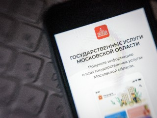 На страже интересов опекаемых: почему попечители в Подмосковье должны ежегодно давать отчет и как сделать его онлайн