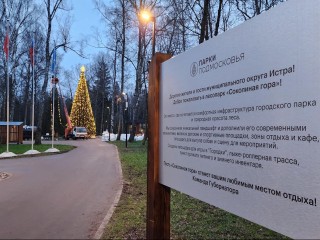 В истринском лесу «выросла» 20-метровая елка: Соколка готовится к Новому году