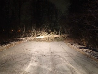 Испытания погодой: спасатели освободили дороги от упавших деревьев в Солнечногорске