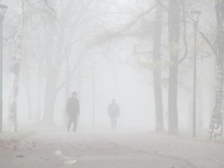 Сильный туман прогнозируют синоптики 1 и 2 декабря