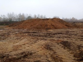 Мусорная расплата: в Ленинском округе Минэкологии требует с нарушителей ₽2,3 млн