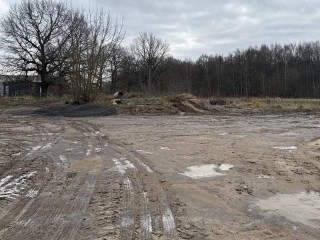 Когда свалка бьет по кошельку: финал истории с незаконными отходами в Назимихе