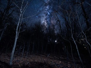 Какой народный праздник отмечают 12 декабря 2025: что можно и нельзя делать на Парамона Зимоуказателя