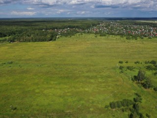 Жители Подмосковья могут получить землю из областной собственности: как успеть выбрать участок и подать документы