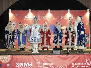 Снегурочка и восемь Дедов Морозов открыли зимний сезон в Ступинском парке