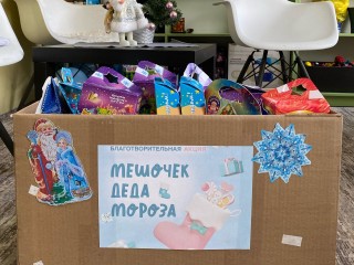 Игрушки и книги: что еще можно принести на благотворительную акцию «Мешочек Деда Мороза» в Егорьевске