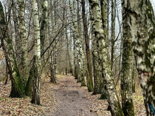 На выходных в Лыткарине прогнозируют теплую погоду и небольшой дождь