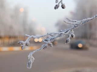 Плюсовая температура вернется в Подмосковье, но на два дня, а затем резко похолодает