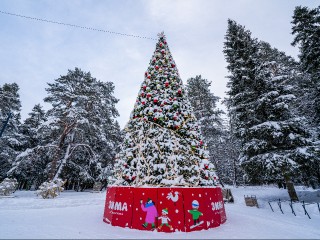 Морозы до -20 градусов придут в Истру на Новый год