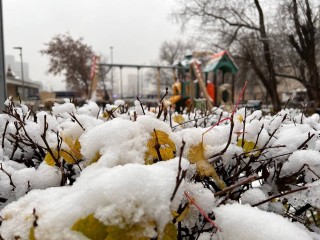 Успеть до 31 декабря: метеоролог Тишковец объявил, когда в Подмосковье ляжет снег