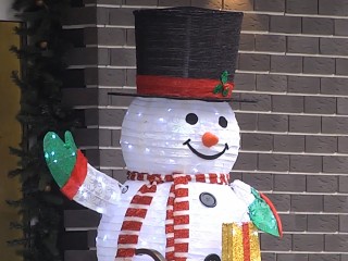 Елки и гирлянды вместо сугробов: магазины Ступина вступают в битву за лучший новогодний декор