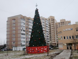 Одинцовский округ выбирает лучшую новогоднюю елку