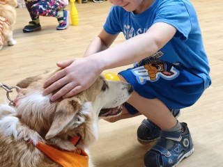 Канис-терапевты Мира и Маруся научили щелковских детей преодолевать препятствия