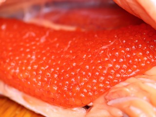 Как вычислить форель с икрой и не попасться на уловки продавцов: пять правил