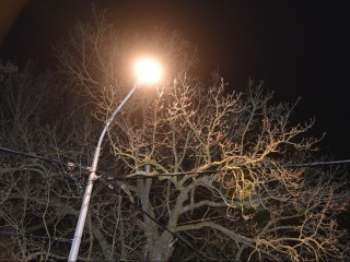 «Свет – залог комфорта»: в 11 населенных пунктах округа зажглись новые уличные фонари