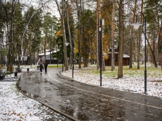 Зима и снег отменяются: синоптик рассказал о новом потеплении в Подмосковье с 16 декабря